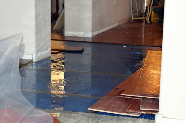 Professional Water Damage Repair technician working in Tiverton, RI